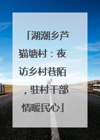 湖潮乡芦猫塘村：夜访乡村巷陌，驻村干部情暖民心